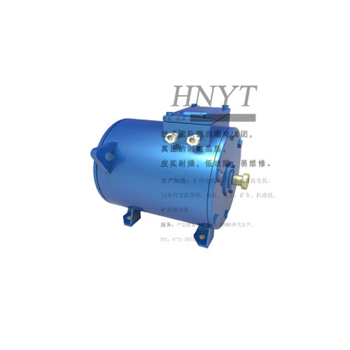 礦用蓄電池電機(jī)車(chē)YBVF-15BP（100）變頻牽引電機(jī)O